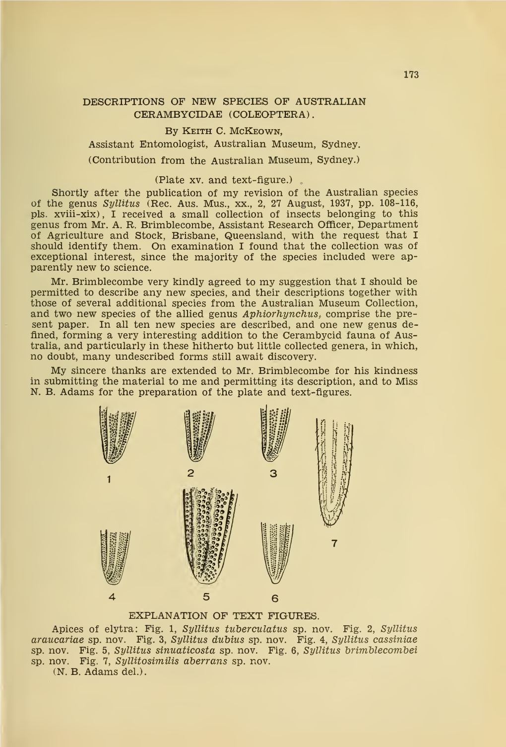 Descriptions of New Species of Australian Cerambycidae (Coleoptera)