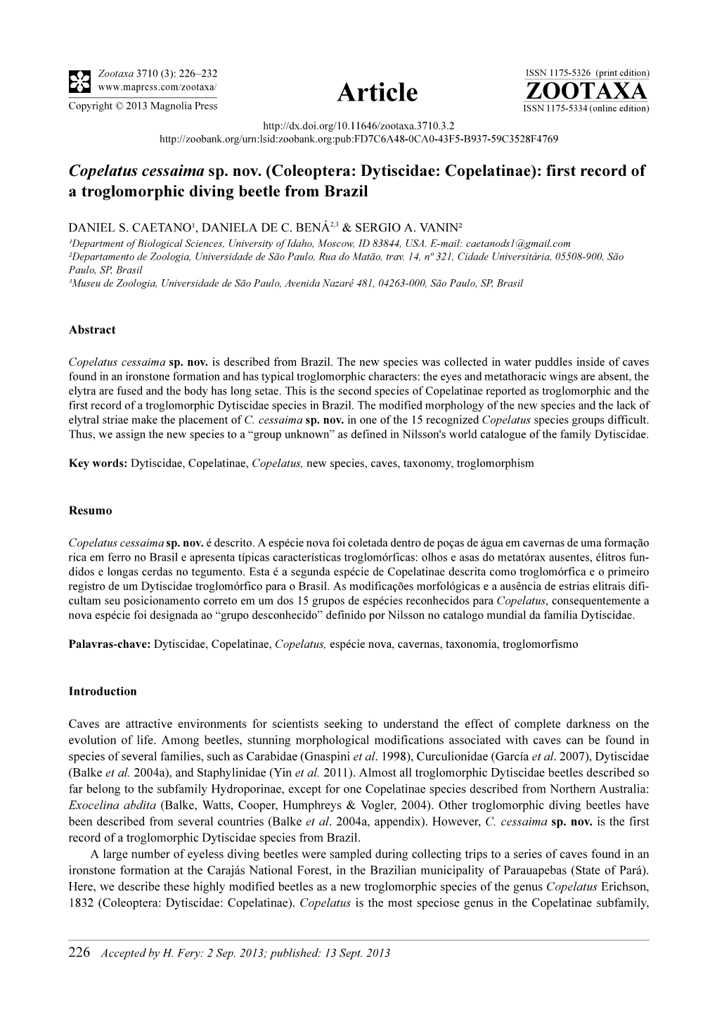 Coleoptera: Dytiscidae: Copelatinae): First Record of a Troglomorphic Diving Beetle from Brazil