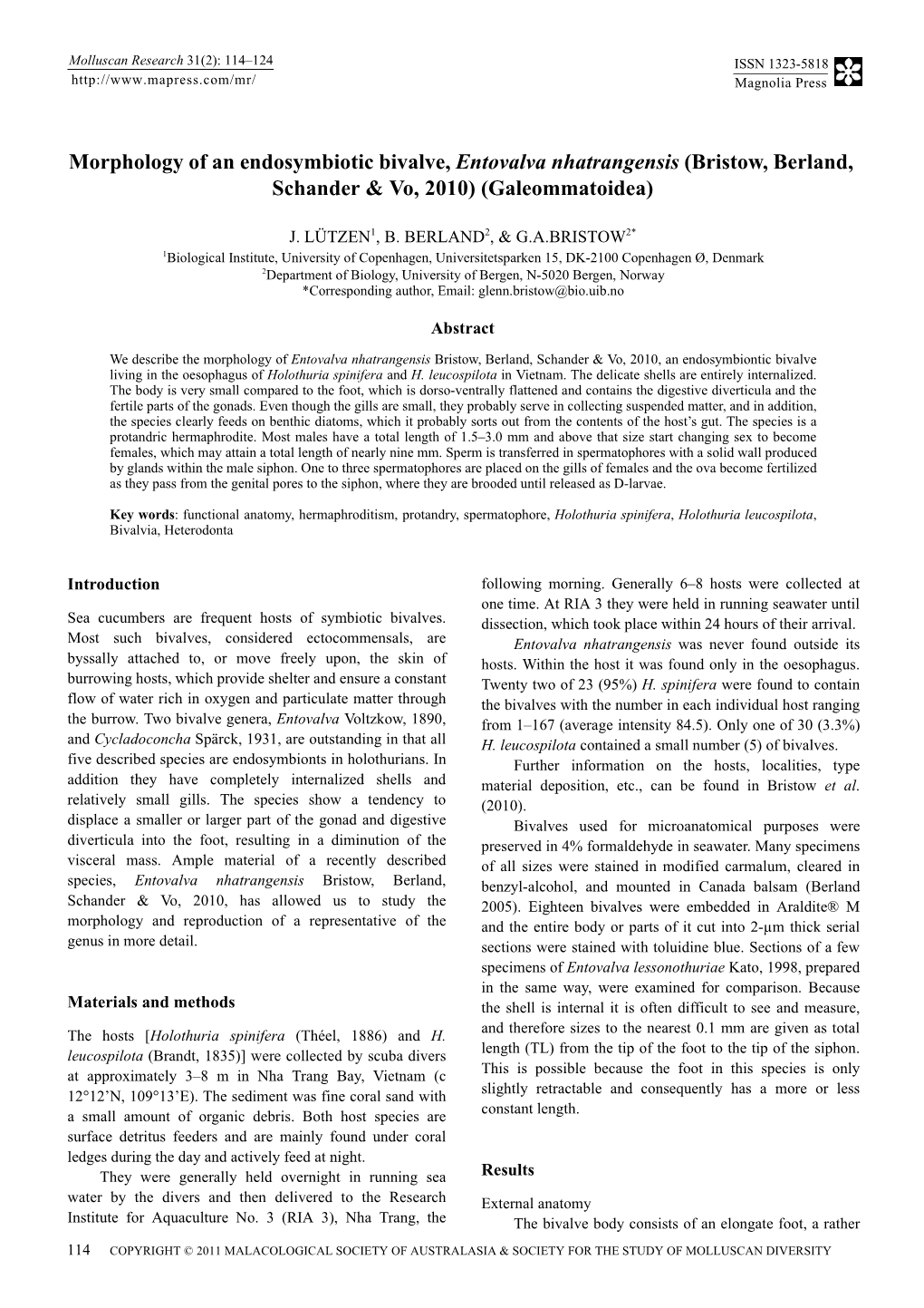 Morphology of an Endosymbiotic Bivalve, Entovalva Nhatrangensis (Bristow, Berland, Schander & Vo, 2010) (Galeommatoidea)