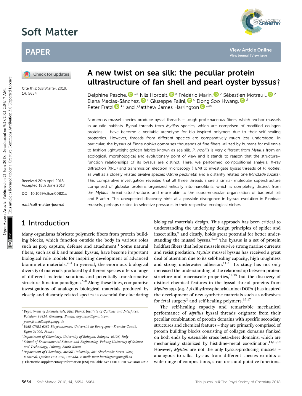 The Peculiar Protein Ultrastructure of Fan Shell and Pearl Oyster Byssus