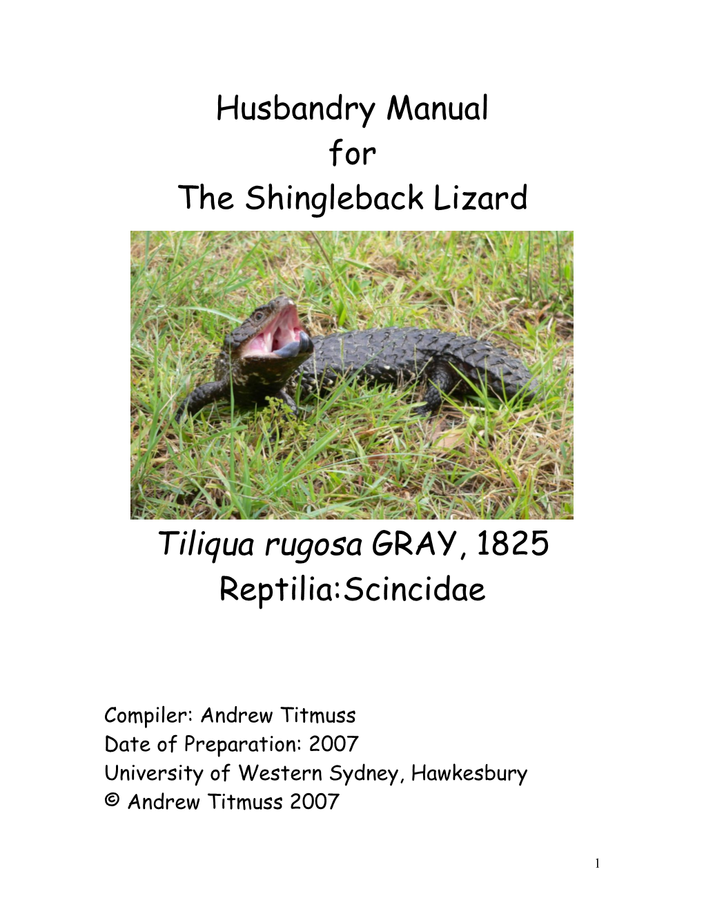 Husbandry Manual for the Shingleback Lizard Tiliqua Rugosa