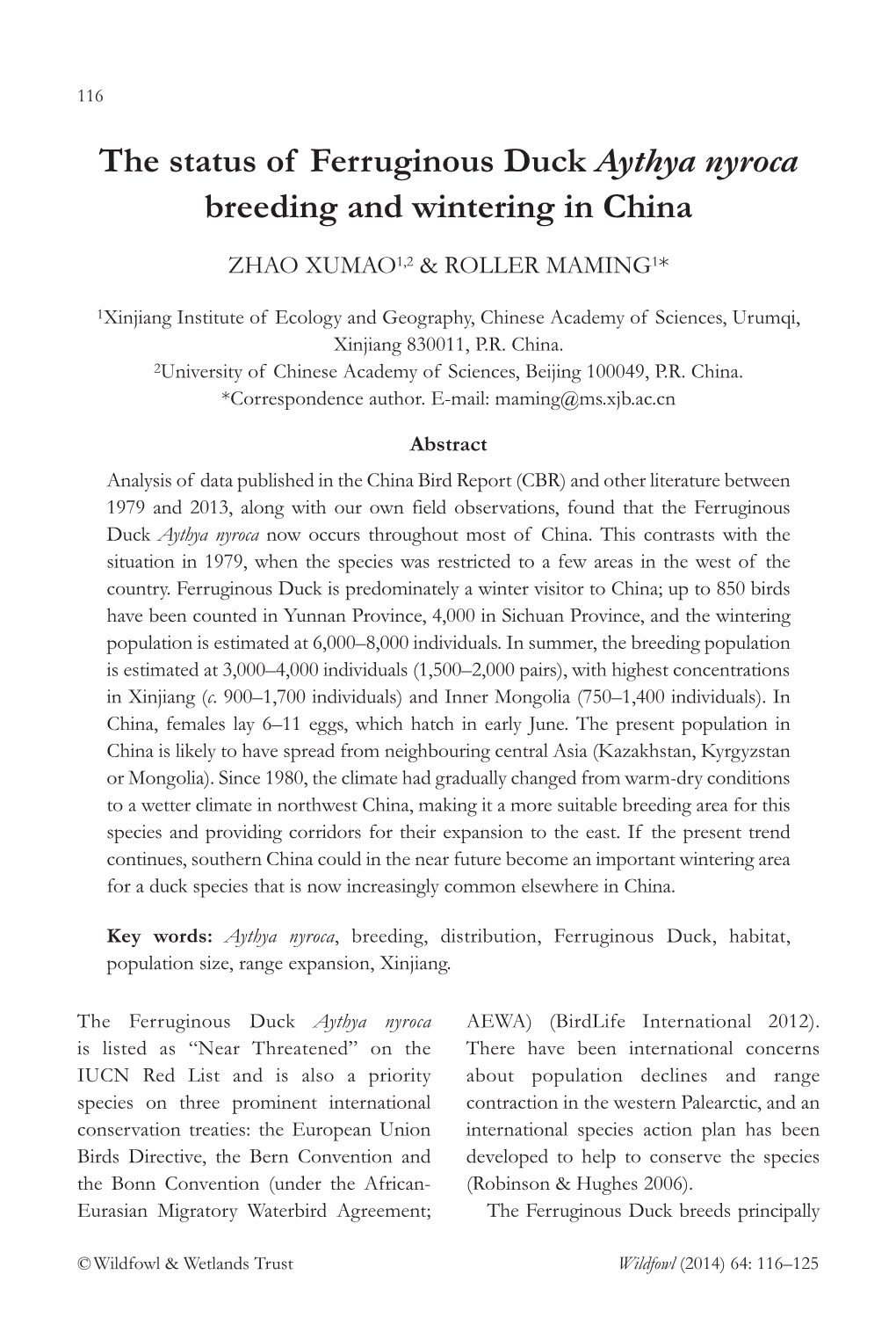 The Status of Ferruginous Duck Aythya Nyroca Breeding and Wintering in China