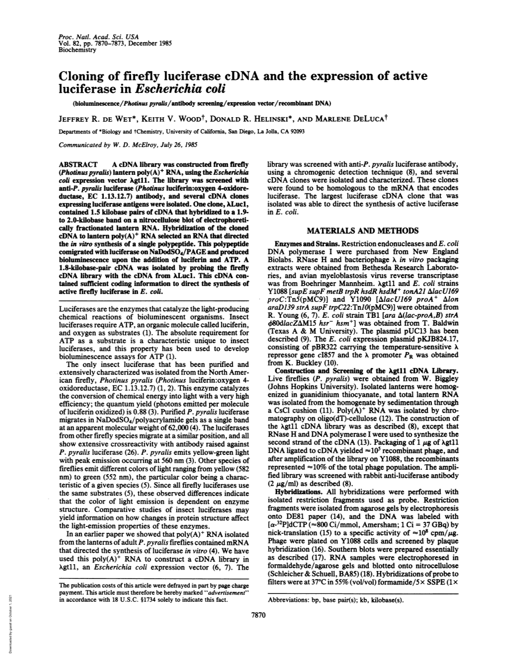 Cloning of Firefly Luciferase Cdna and the Expression of Active