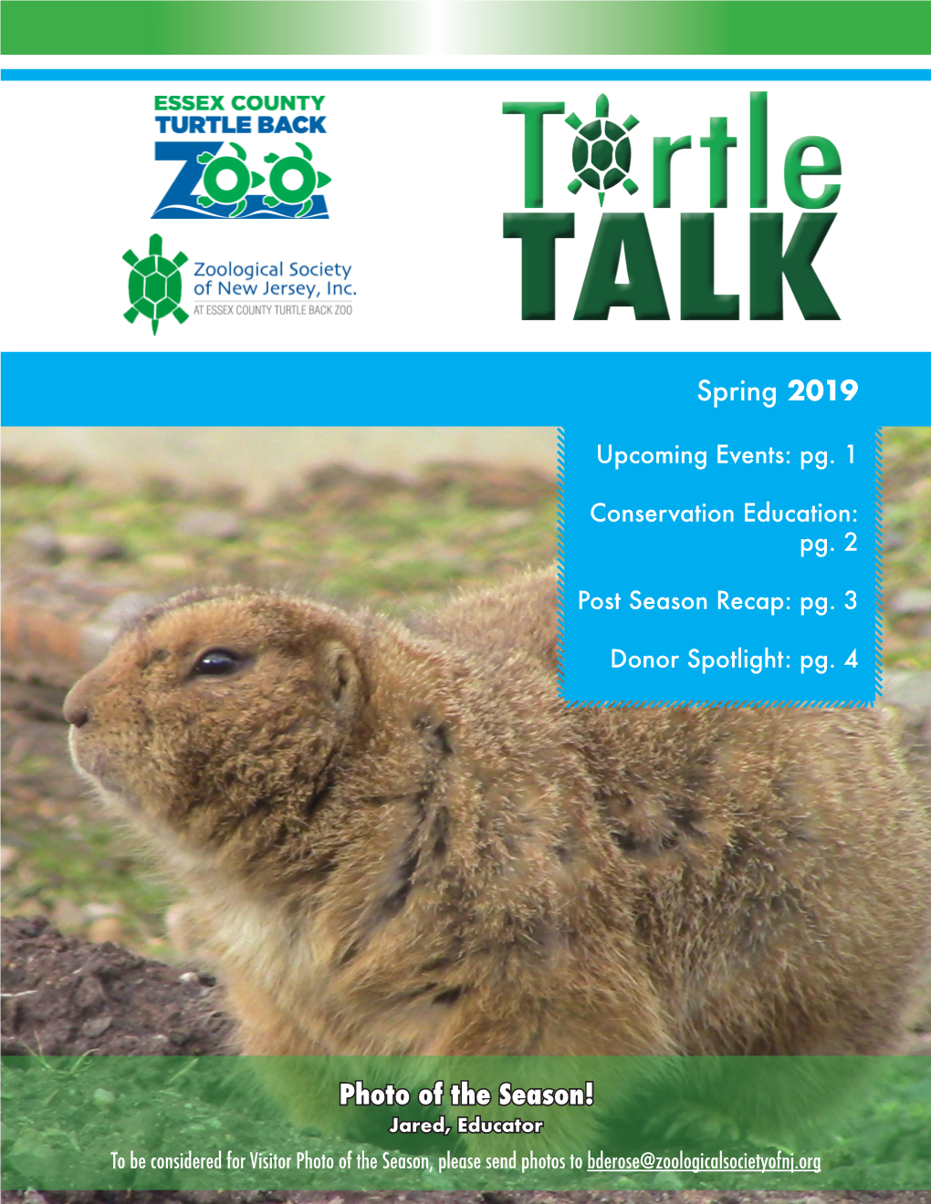 Spring 2019 Turtle Talk