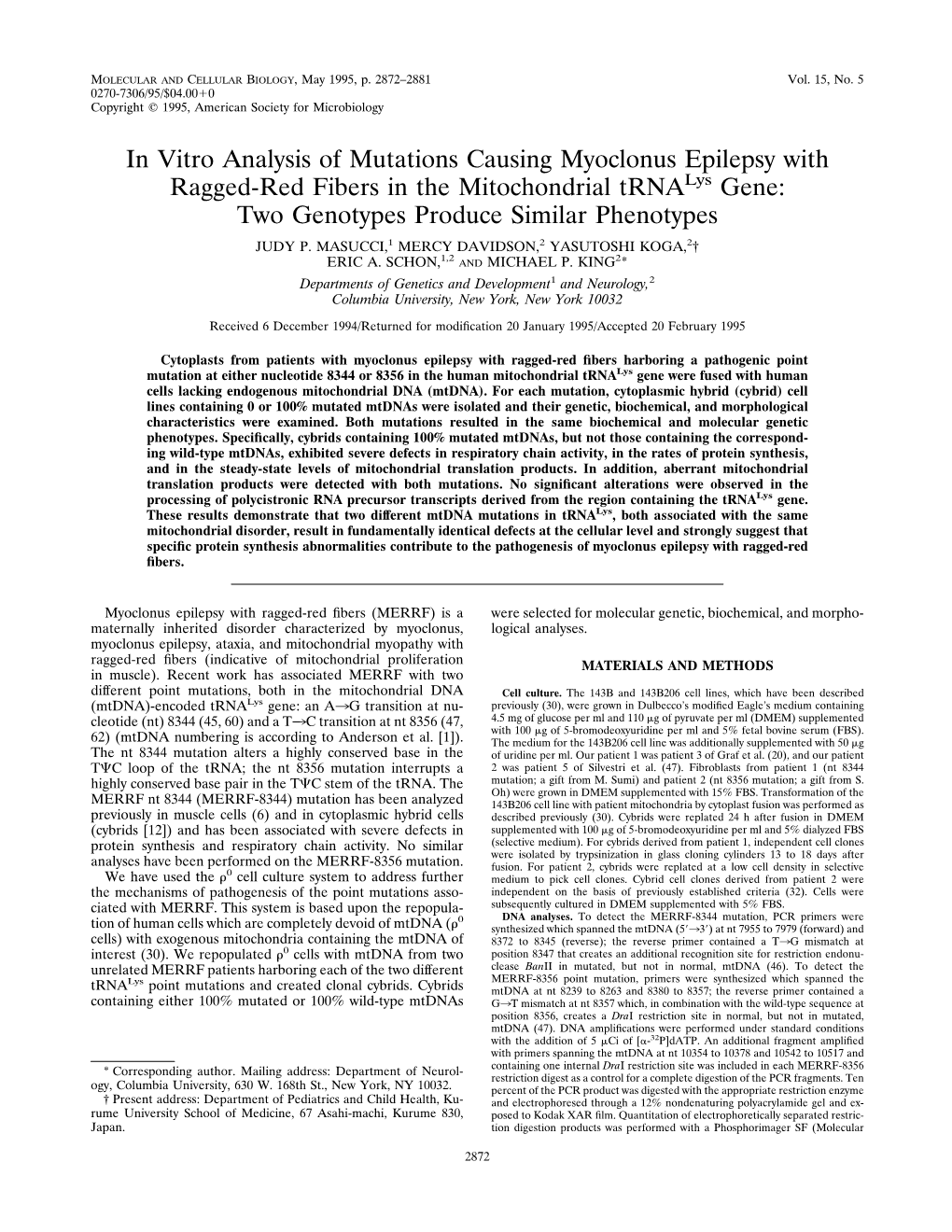 In Vitro Analysis of Mutations Causing Myoclonus Epilepsy with Ragged-Red Fibers in the Mitochondrial Trnalys Gene: Two Genotypes Produce Similar Phenotypes JUDY P