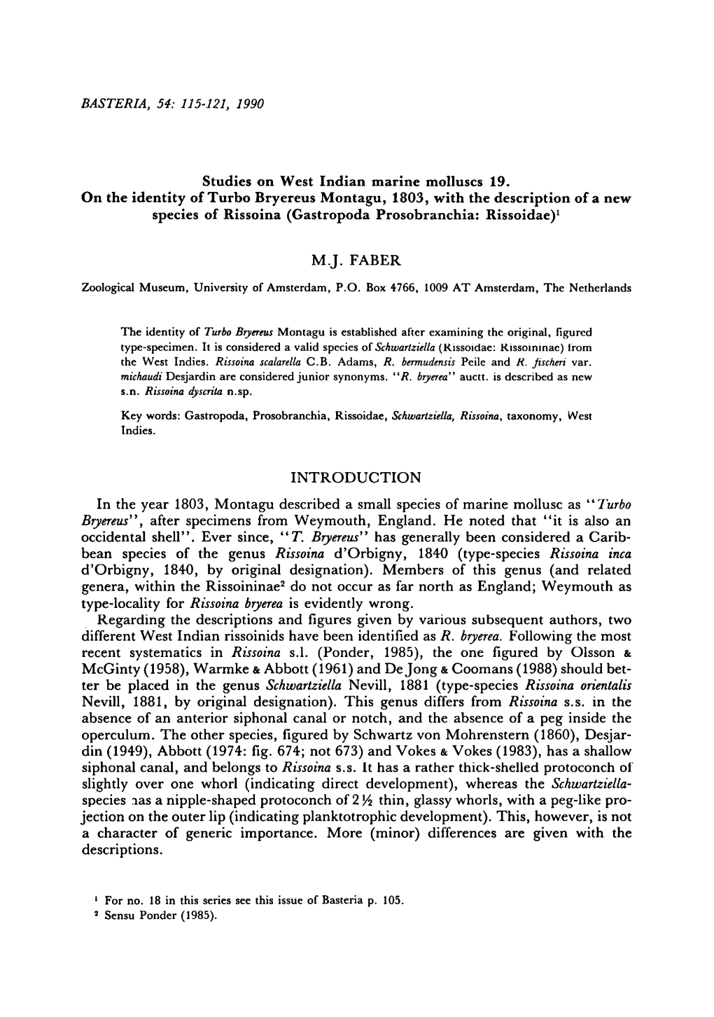 Identity of Turbo Bryereus Montagu, Description of a New Rissoidae