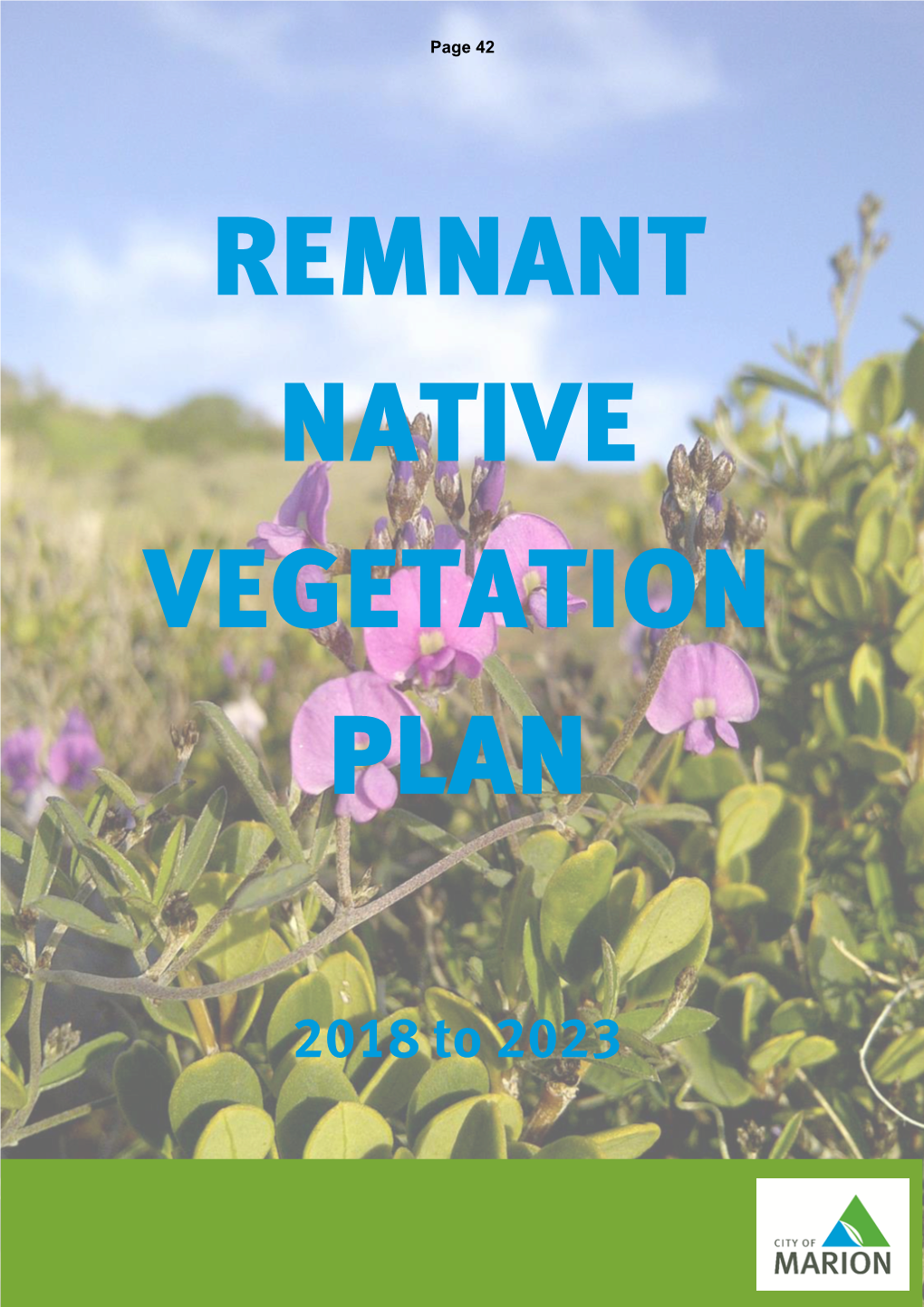 Remnant Native Vegetation Plan