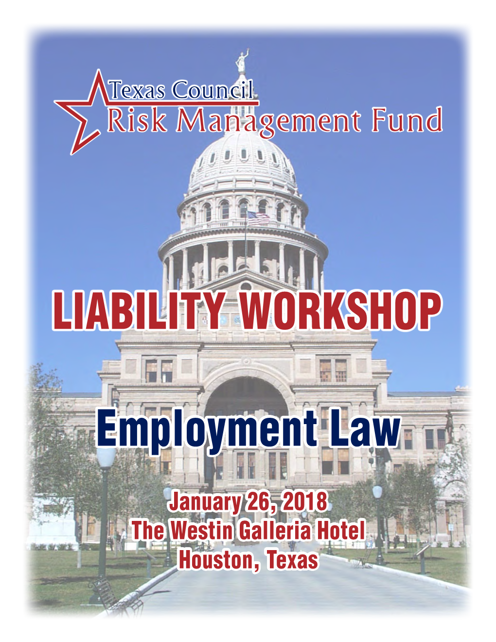 LIABILITY WORKSHOP Employment