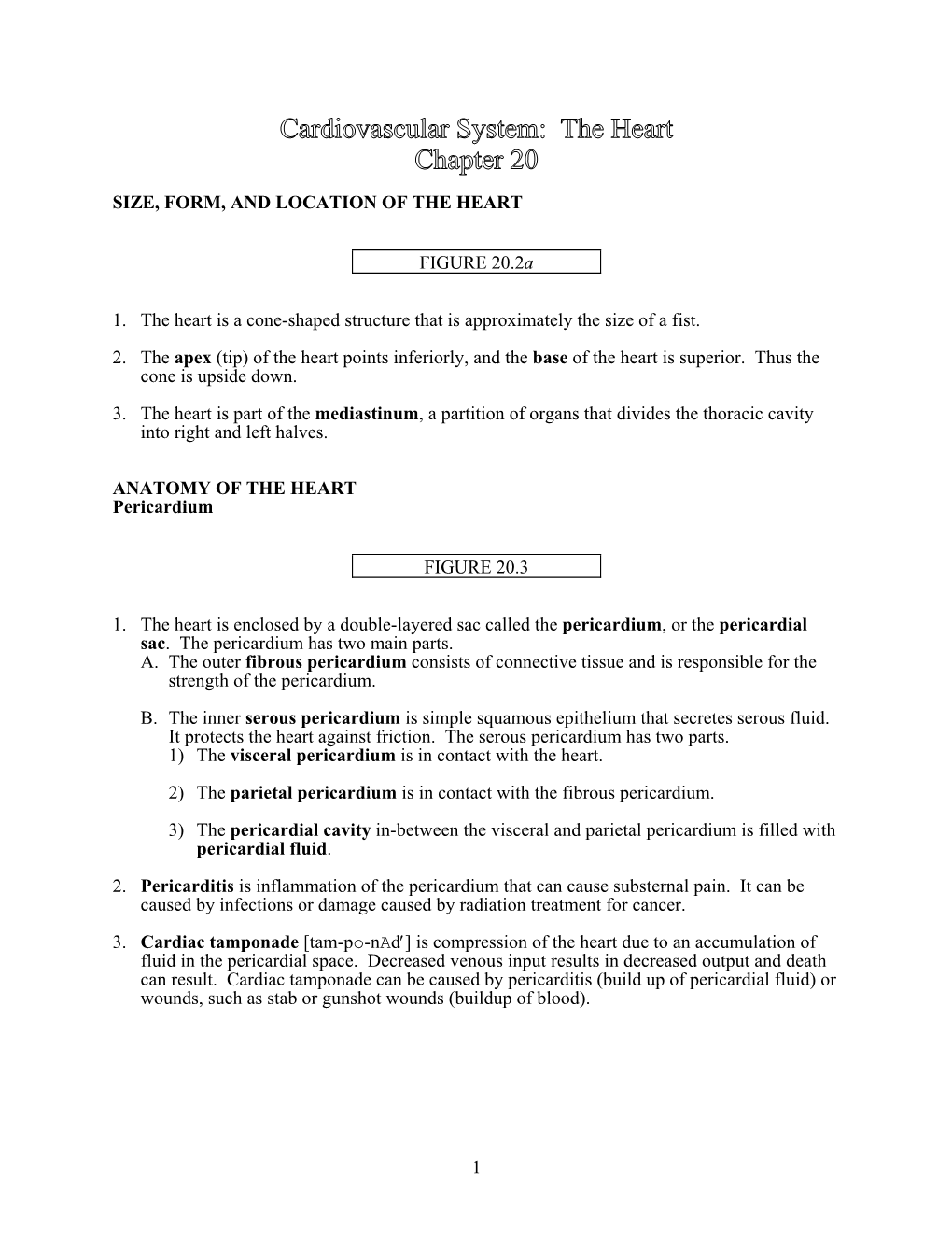 1 SIZE, FORM, and LOCATION of the HEART FIGURE 20.2A 1. The