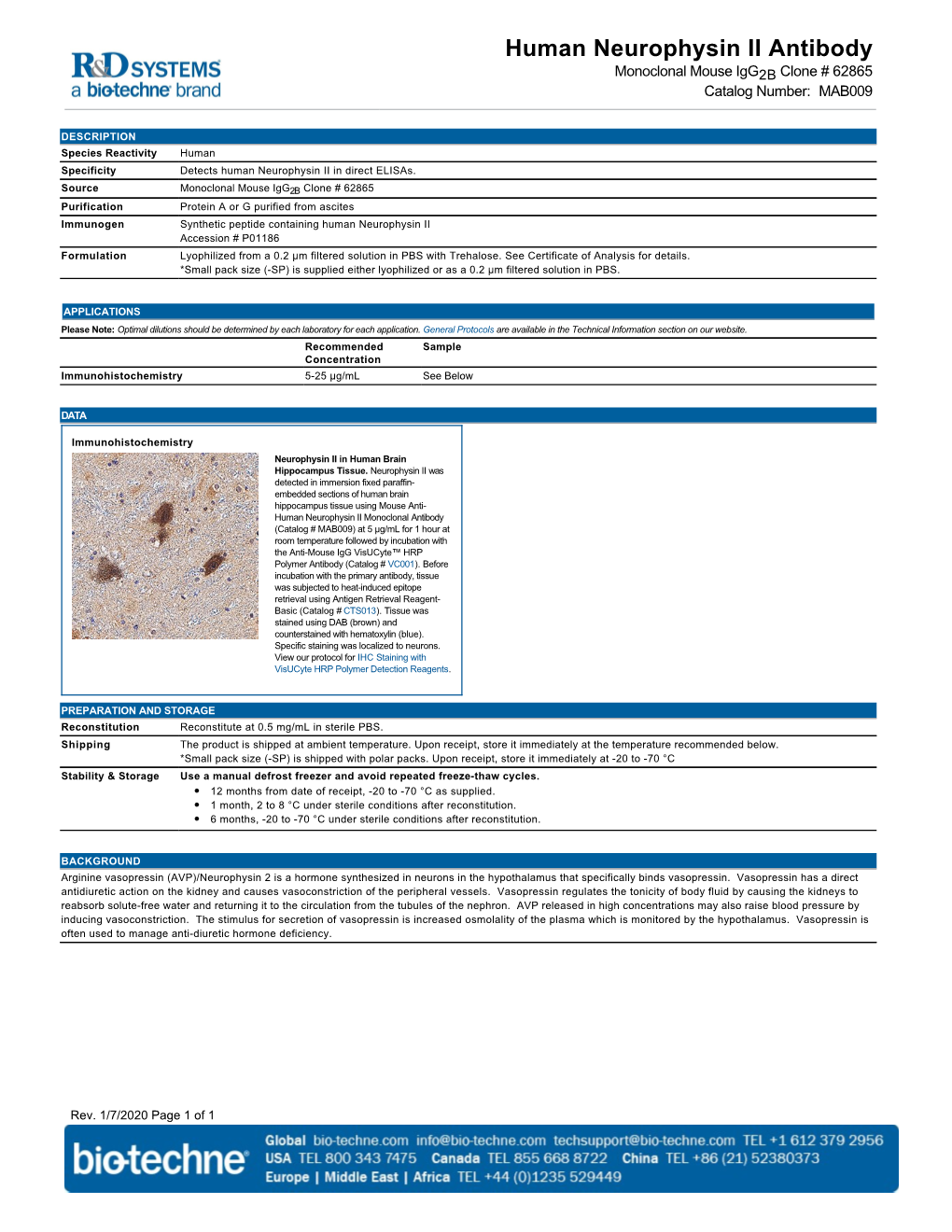 Human Neurophysin II Antibody