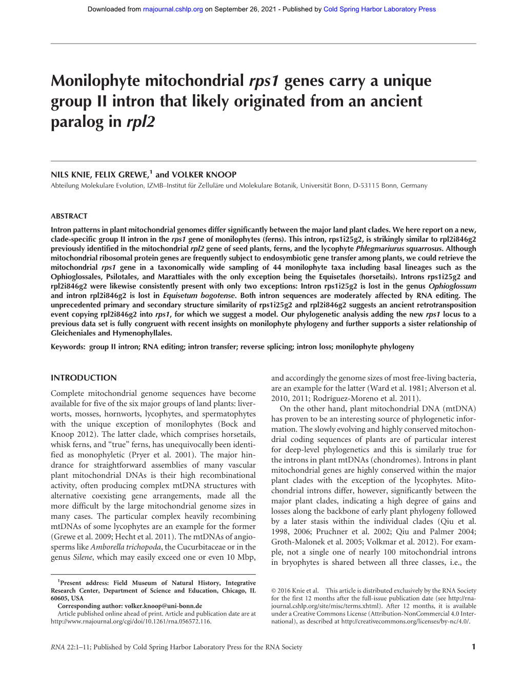 Monilophyte Mitochondrial Rps1 Genes Carry a Unique Group II Intron That Likely Originated from an Ancient Paralog in Rpl2