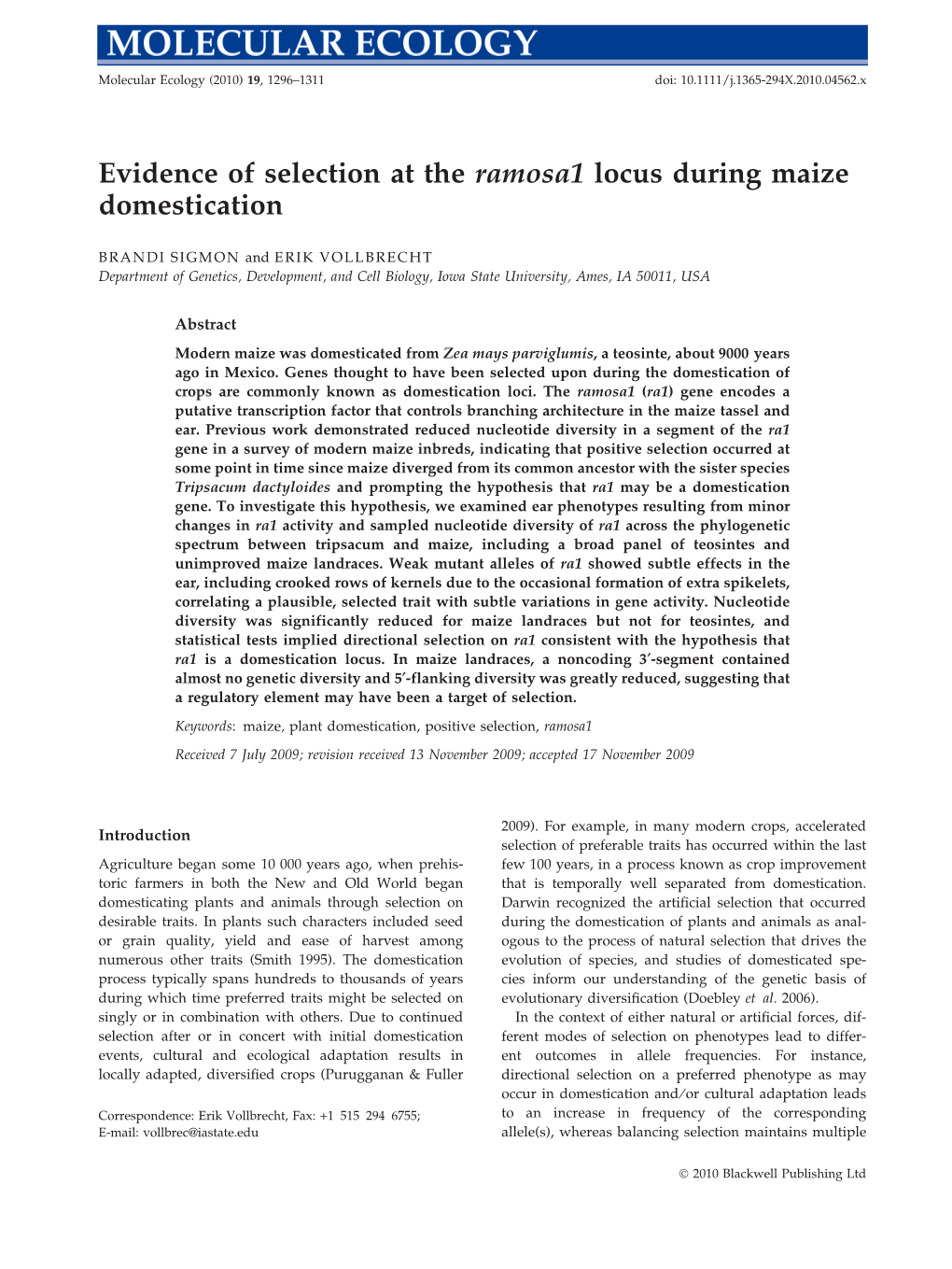 Evidence of Selection at the Ramosa1 Locus During Maize Domestication