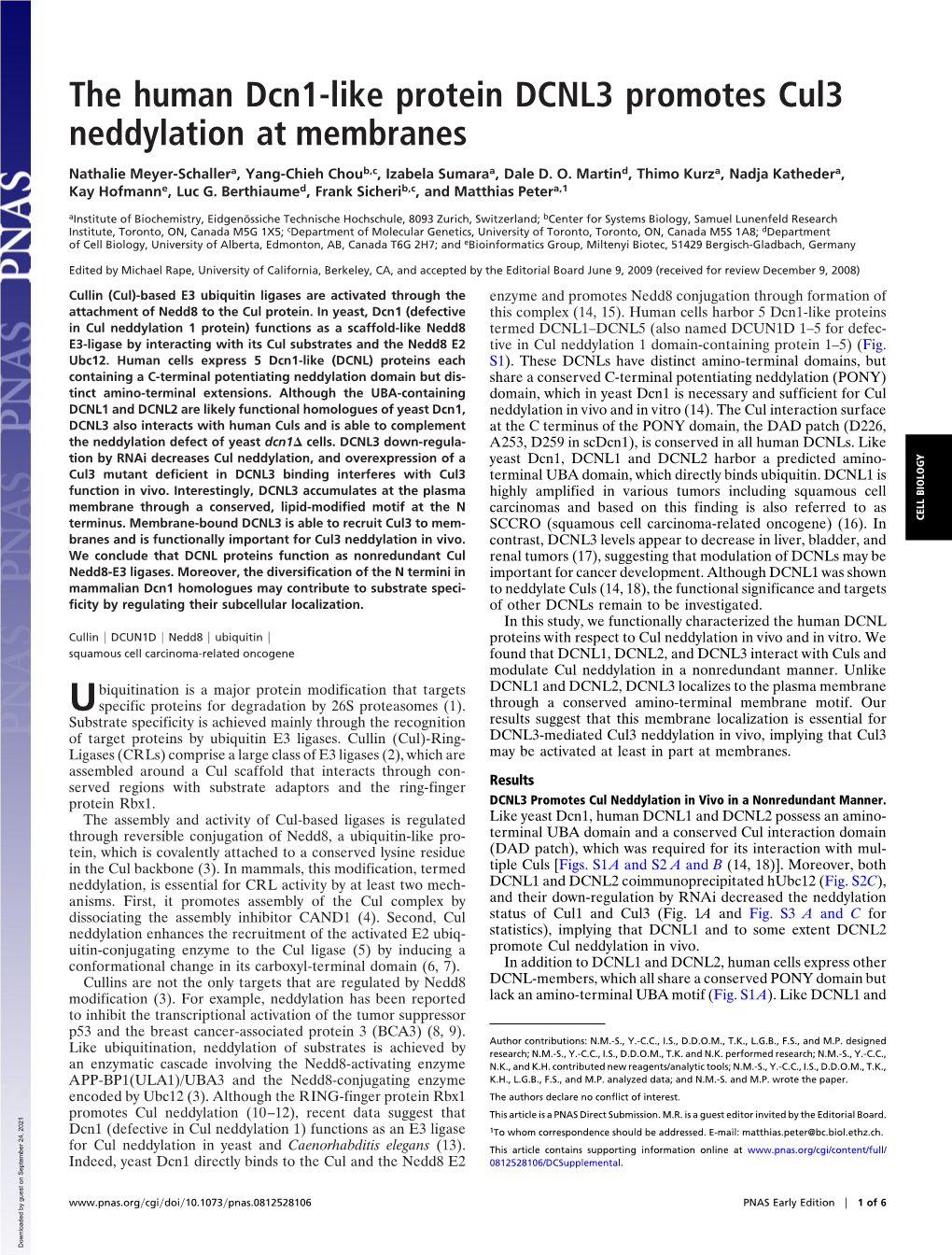 The Human Dcn1-Like Protein DCNL3 Promotes Cul3 Neddylation at Membranes