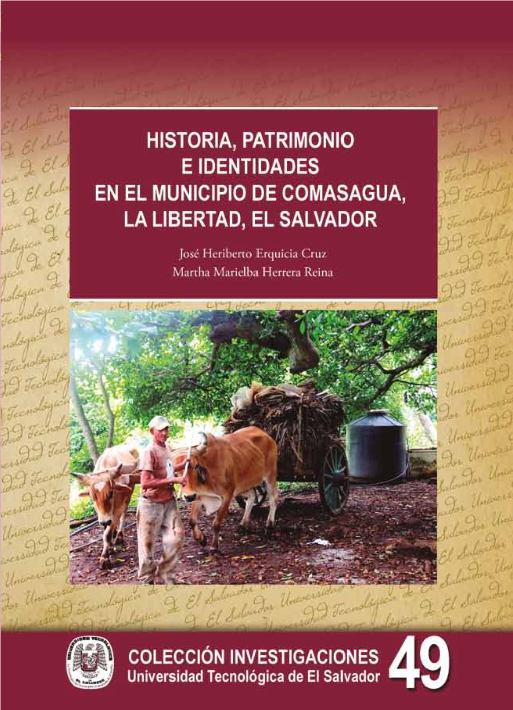 Libro 49 Informe Final Comasagua.Pdf