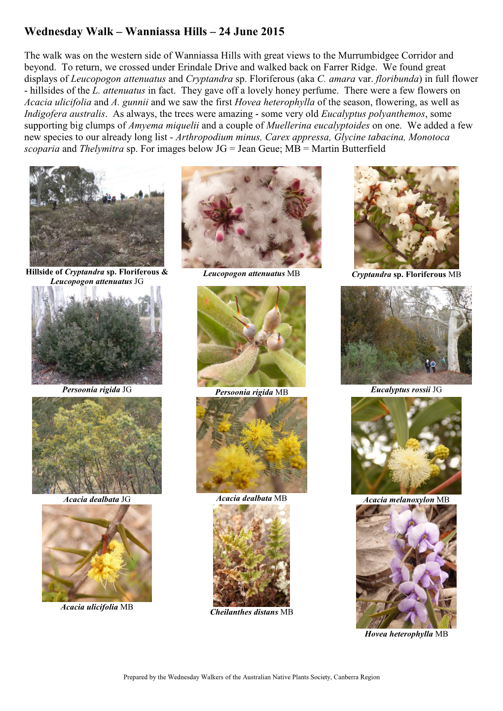 Plant List for Wanniassa Hills – South – 11 June 2003