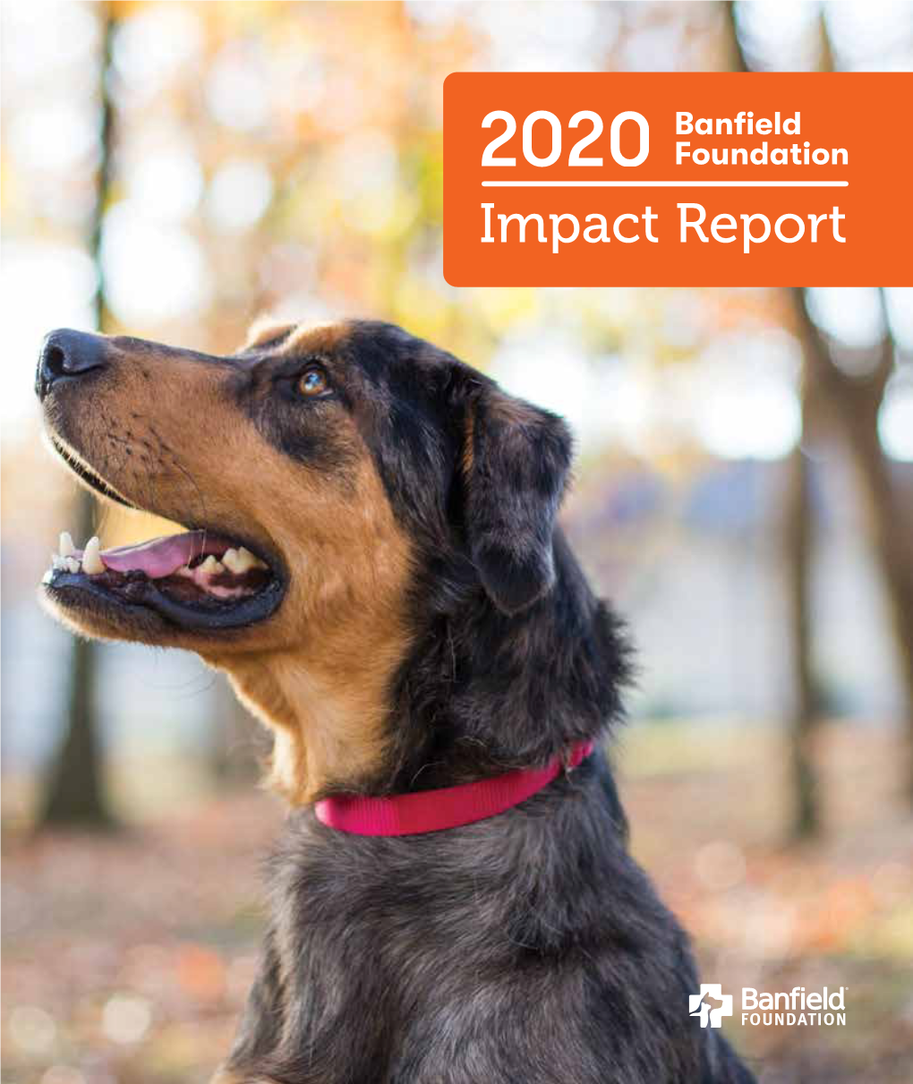 2020 Banfield Foundation Impact Report 2020