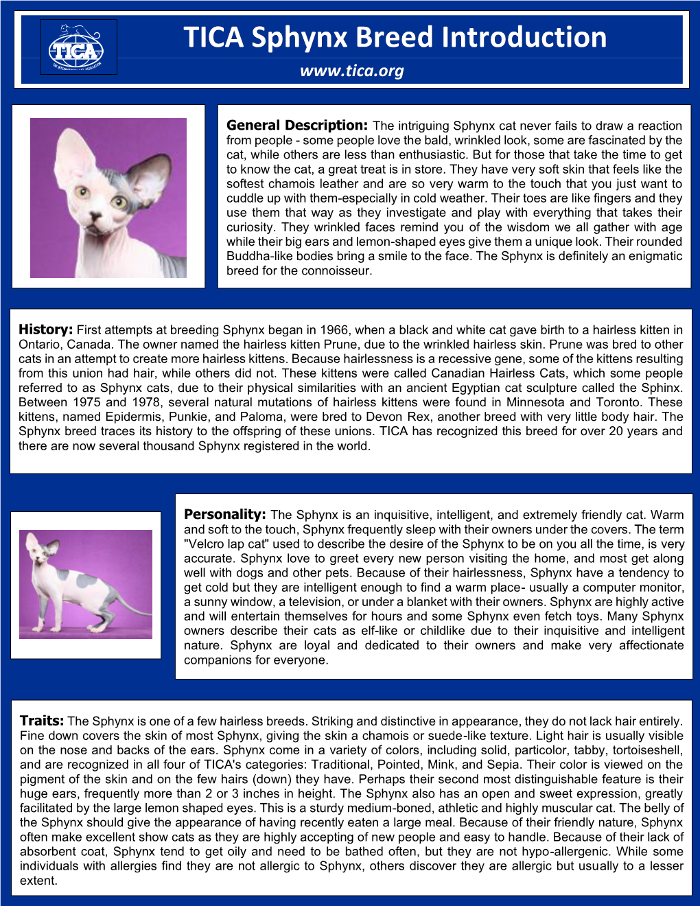 TICA Sphynx Breed Introduction