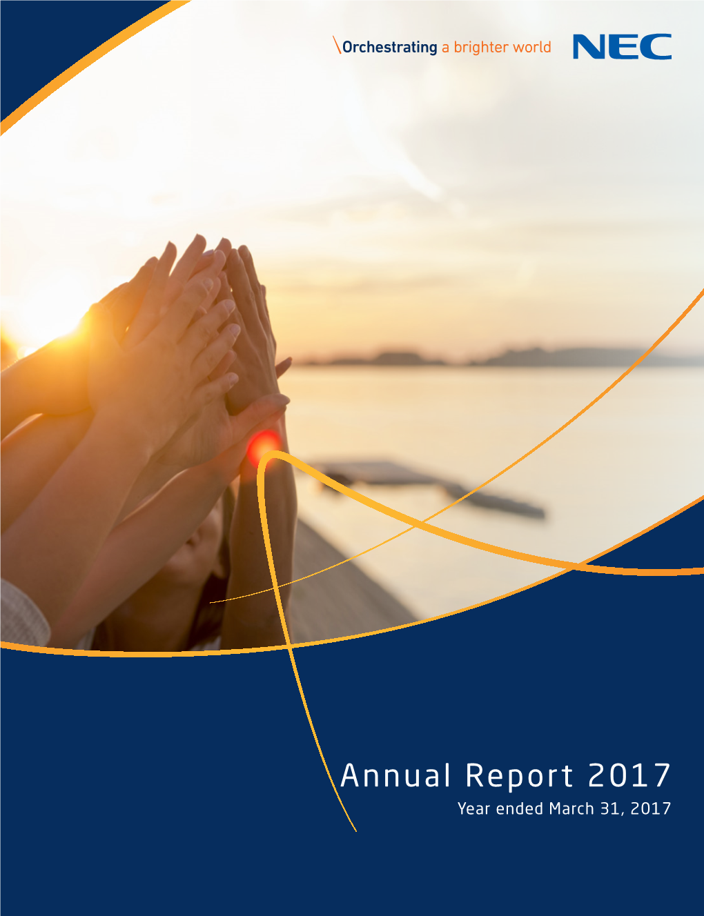 Annual Report 2017