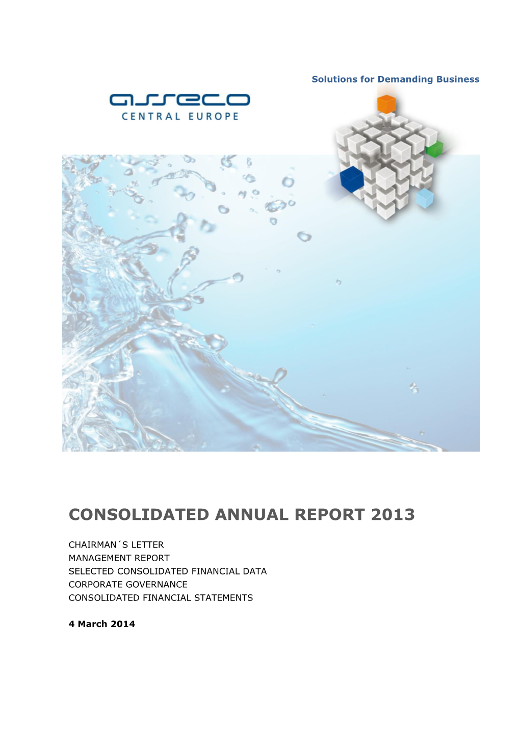 Consolidated Annual Report 2013