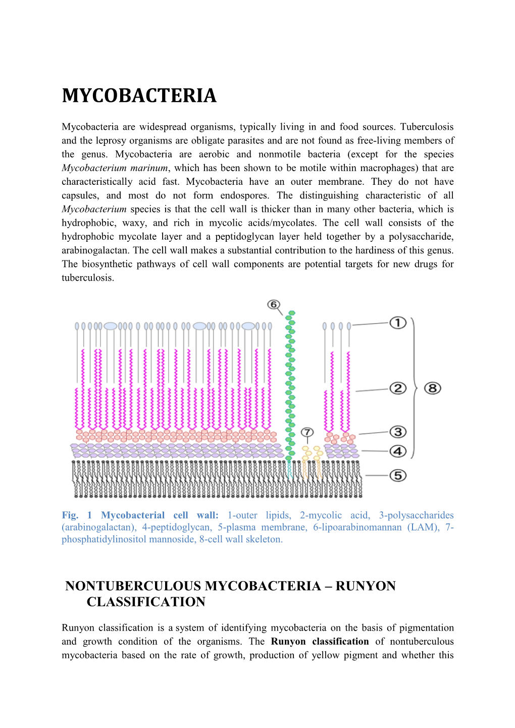 MYCOBACTERIA.Pdf