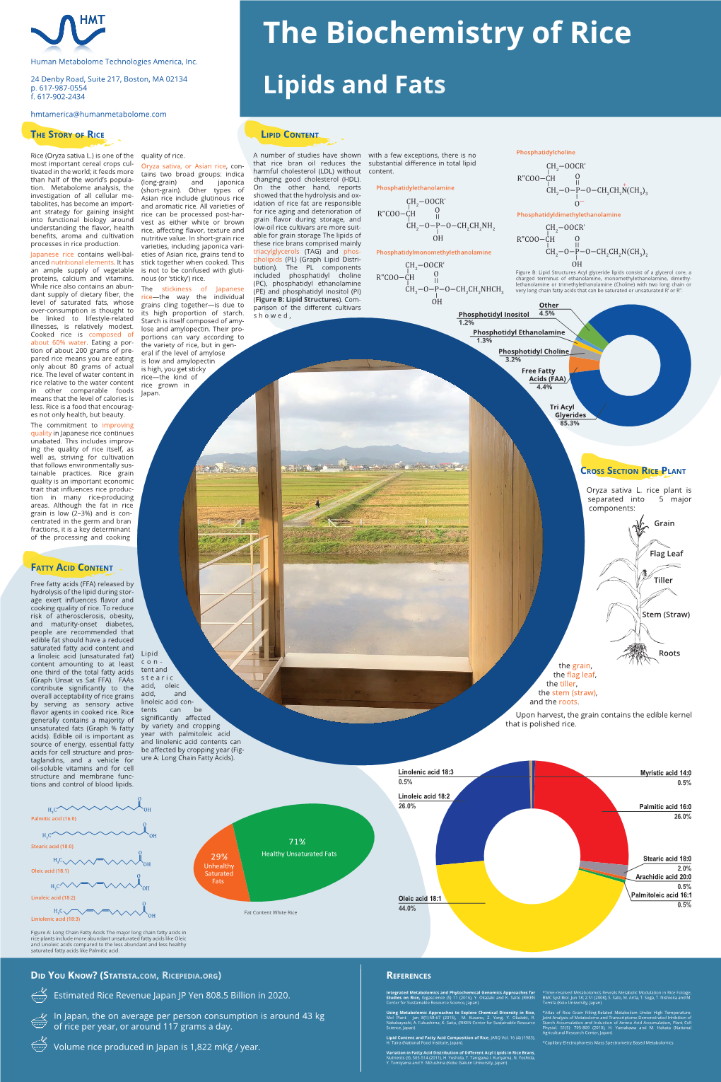 Lipids and Fats Hmtamerica@Humanmetabolome.Com