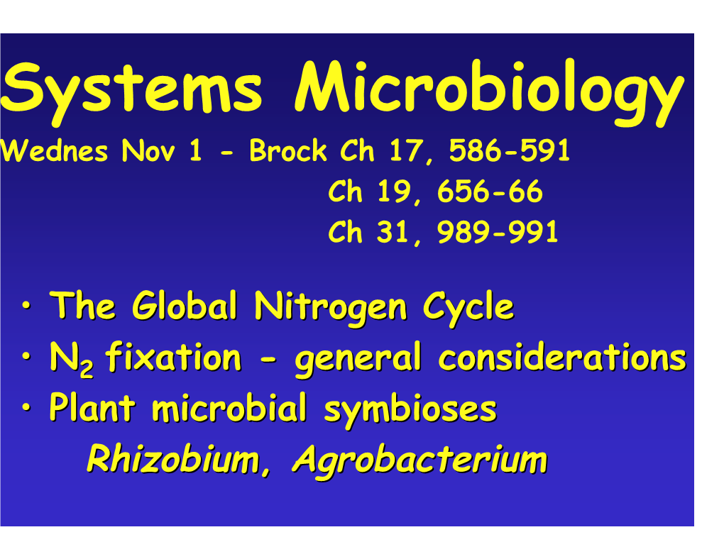 Rhizobium,, Agrobacterium Agrobacterium