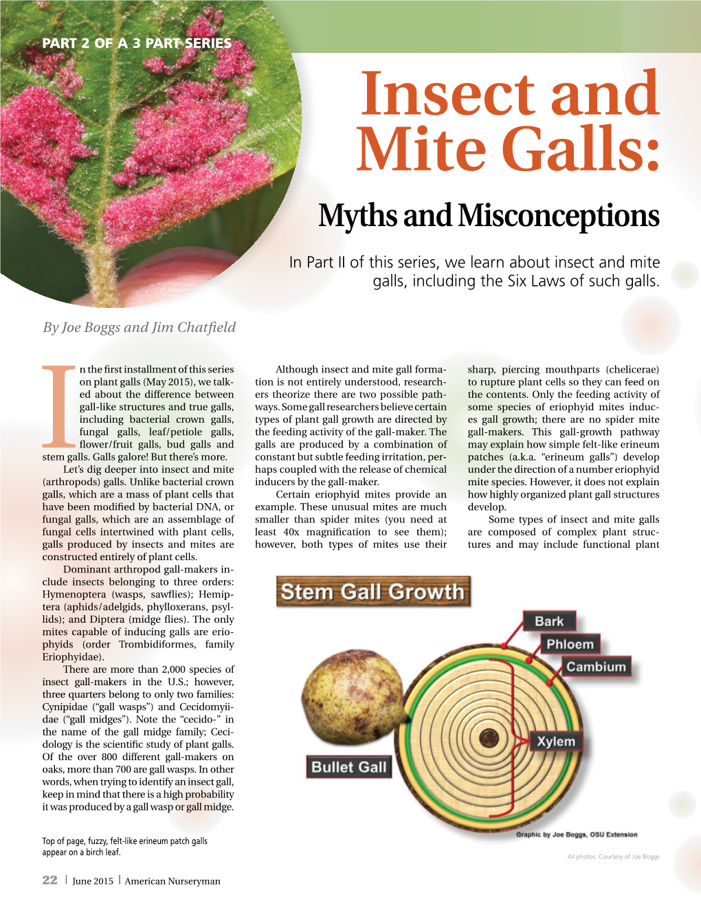 Insect and Mite Galls: Myths and Misconceptions