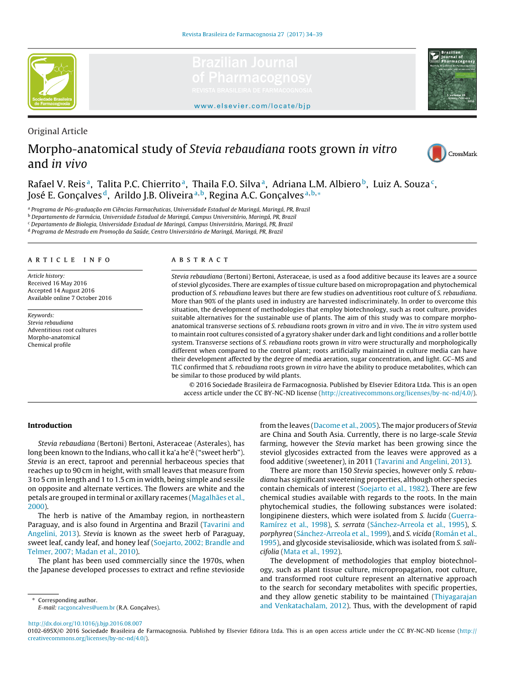 Morpho-Anatomical Study of Stevia Rebaudiana Roots Grown in Vitro and in Vivo