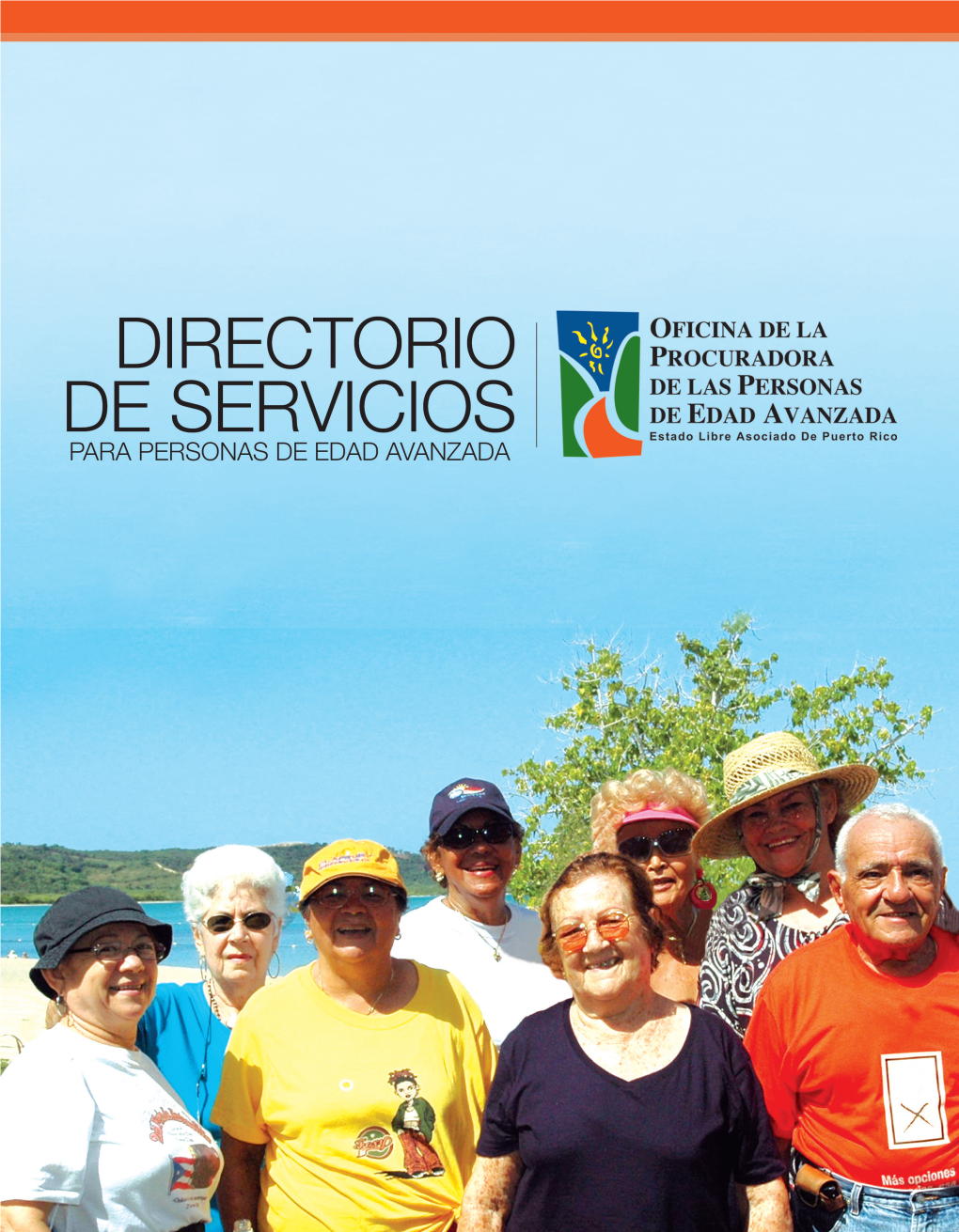 Directorio-De-Servicios-Pr-Gov-84705