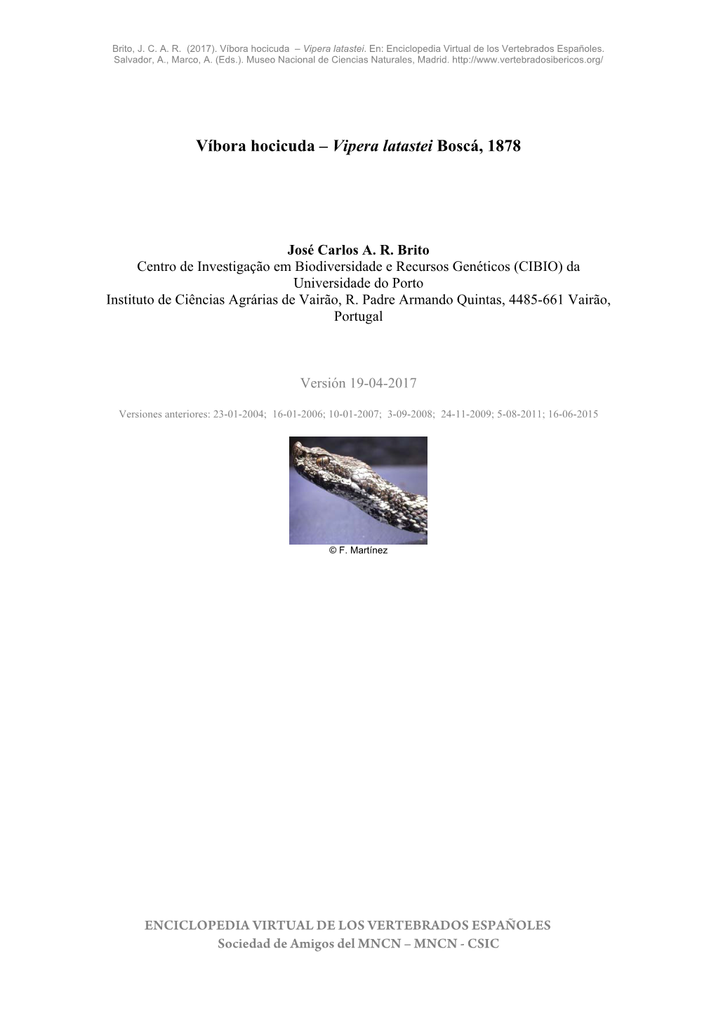 Víbora Hocicuda – Vipera Latastei Boscá, 1878