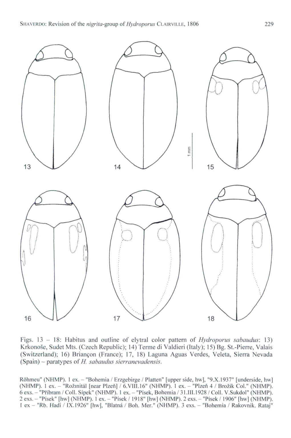 Revision of the Nigrita-Group of Hydroporus CLAIRVILLE, 1806 229