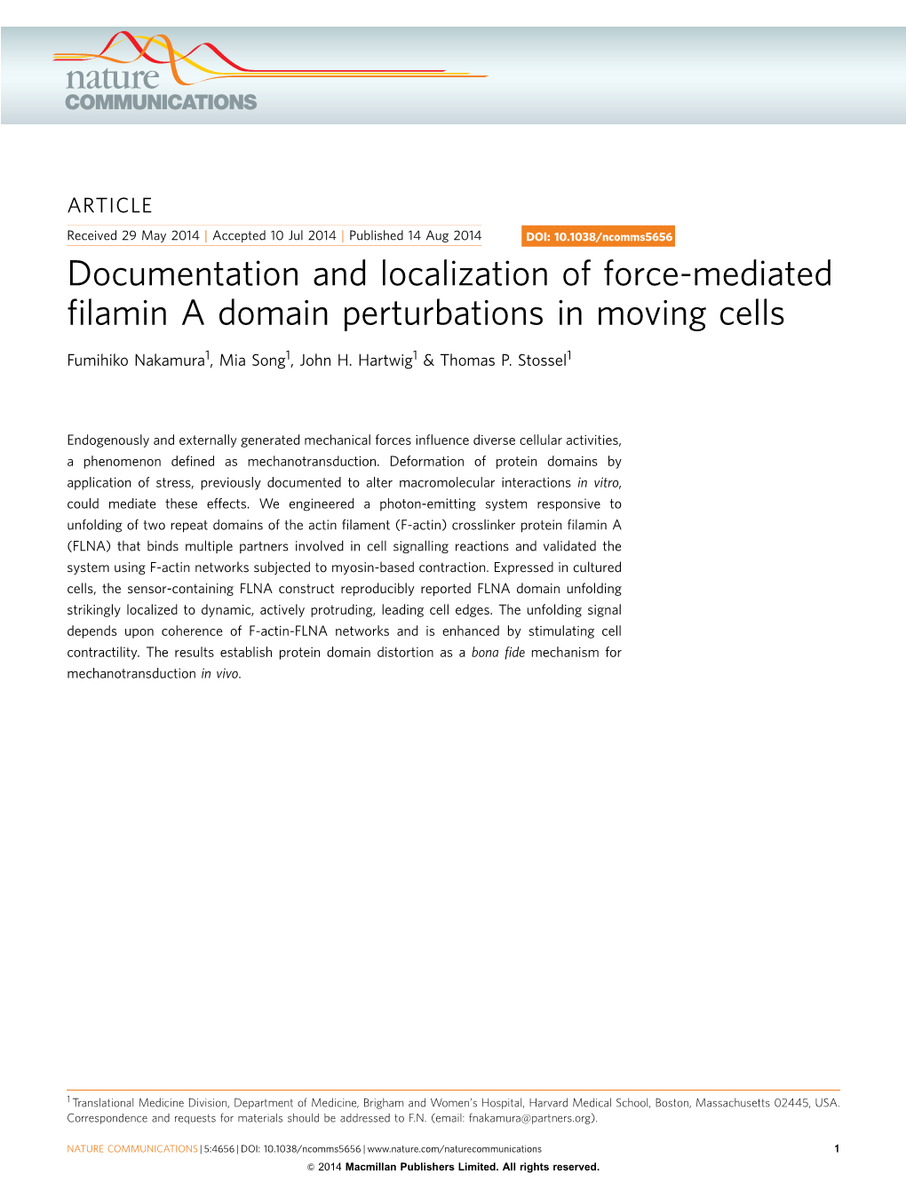 Documentation and Localization of Force-Mediated Filamin a Domain