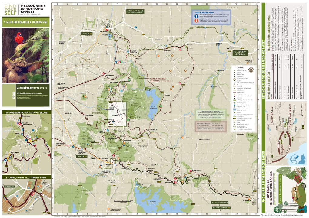 Dandenong Ranges Touring