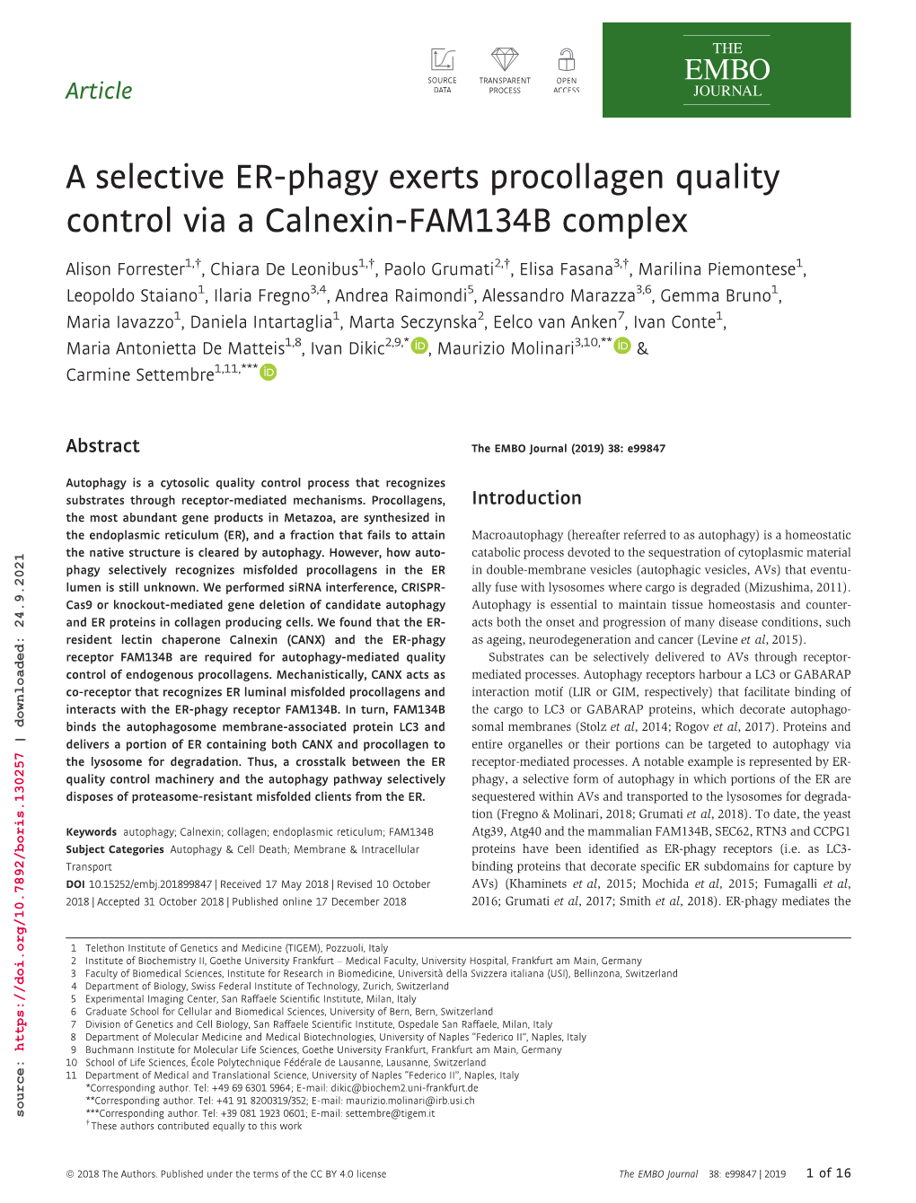 A Selective ER-Phagy Exerts Procollagen Quality Control Via a Calnexin-FAM134B Complex