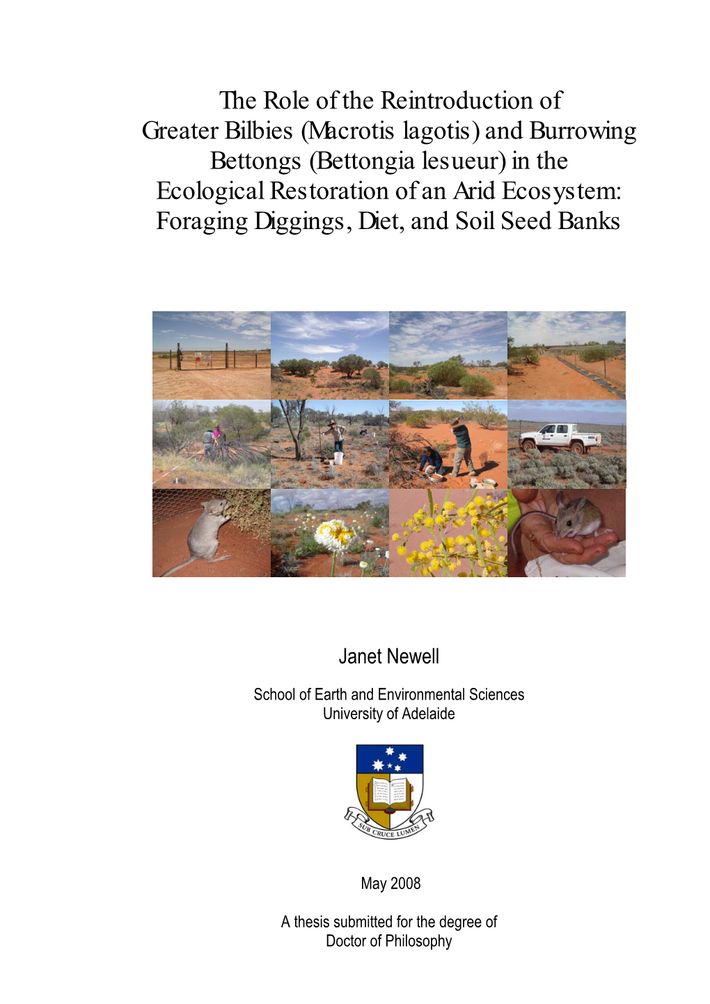 The Role of the Reintroduction of Greater Bilbies (Macrotis Lagotis)