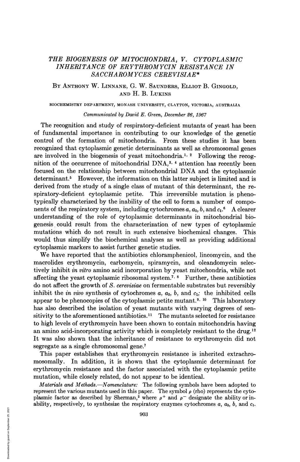 We Have Reported That the Antibiotics Chloramphenicol, Lincomycin