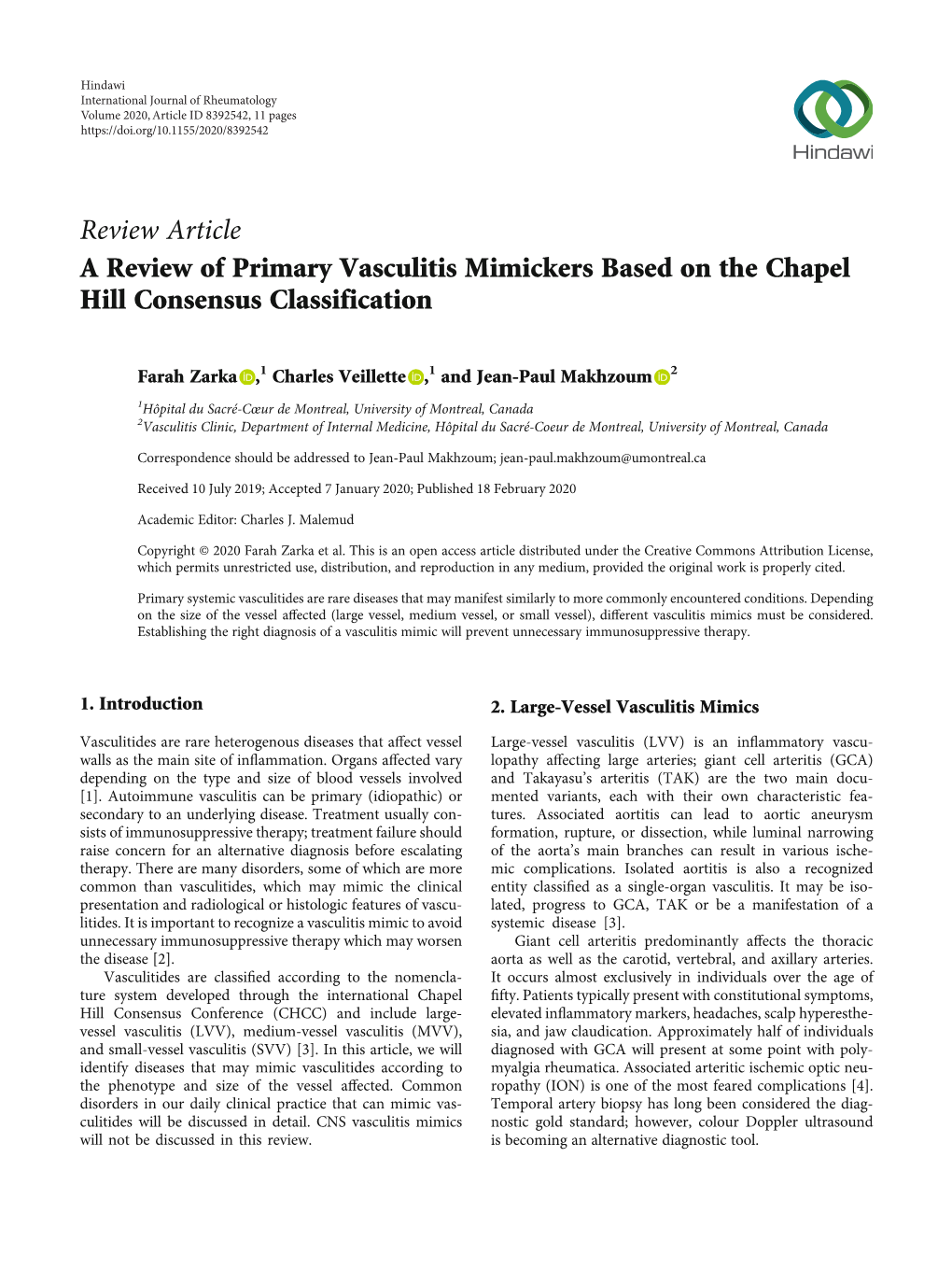 A Review of Primary Vasculitis Mimickers Based on the Chapel Hill Consensus Classification
