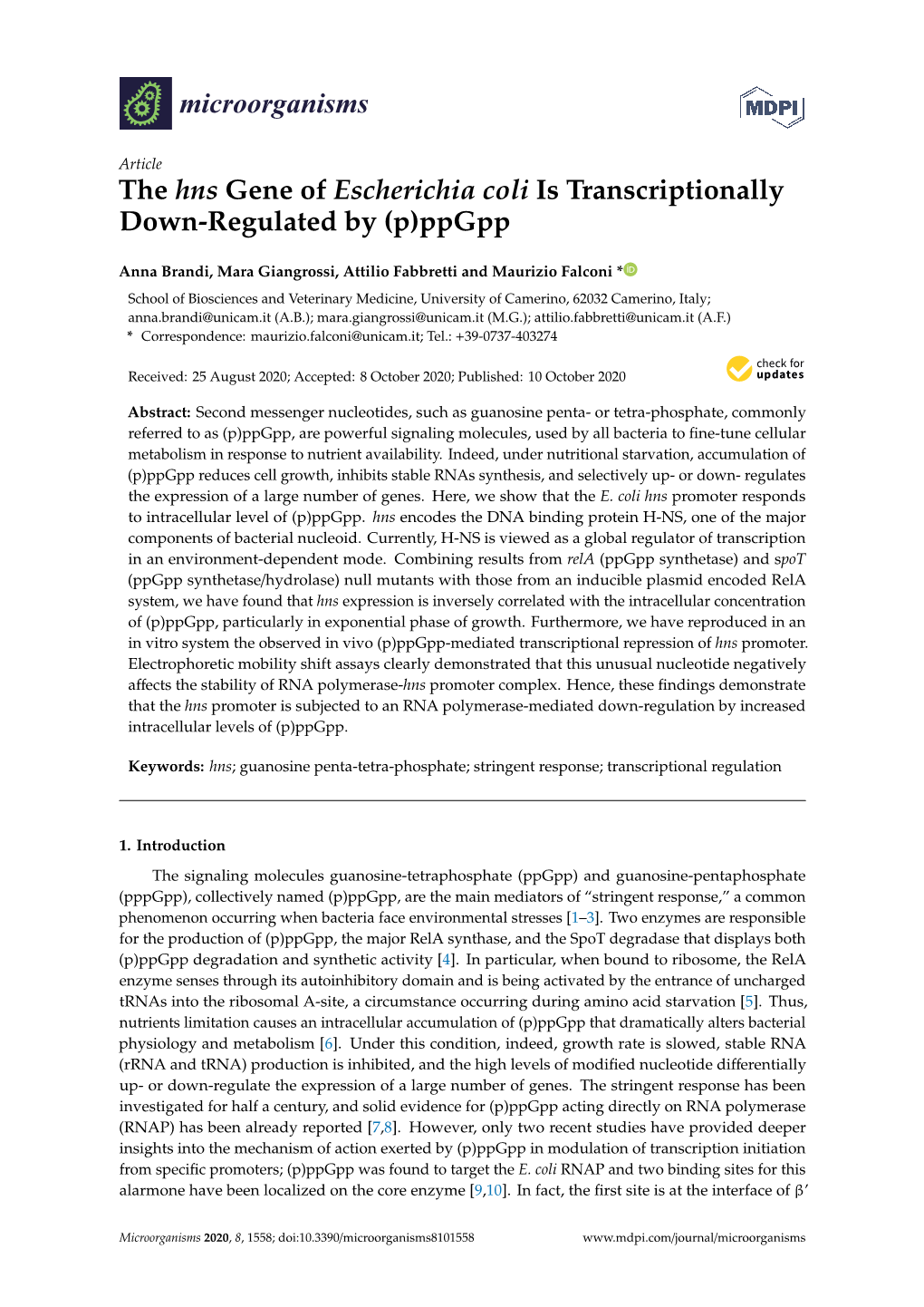 The Hns Gene of Escherichia Coli Is Transcriptionally Down-Regulated by (P)Ppgpp