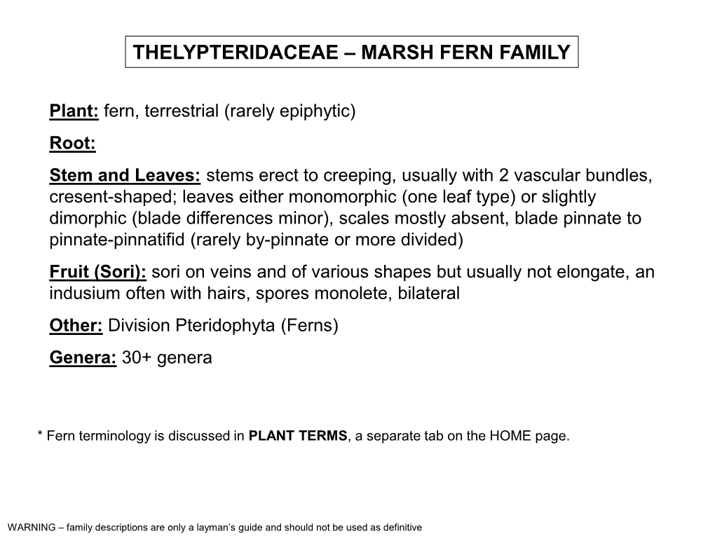 Thelypteridaceae – Marsh Fern Family