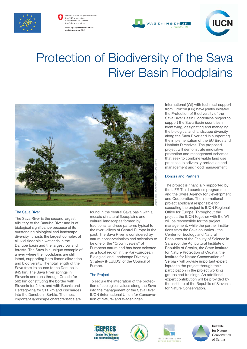 Sava River Basin Project