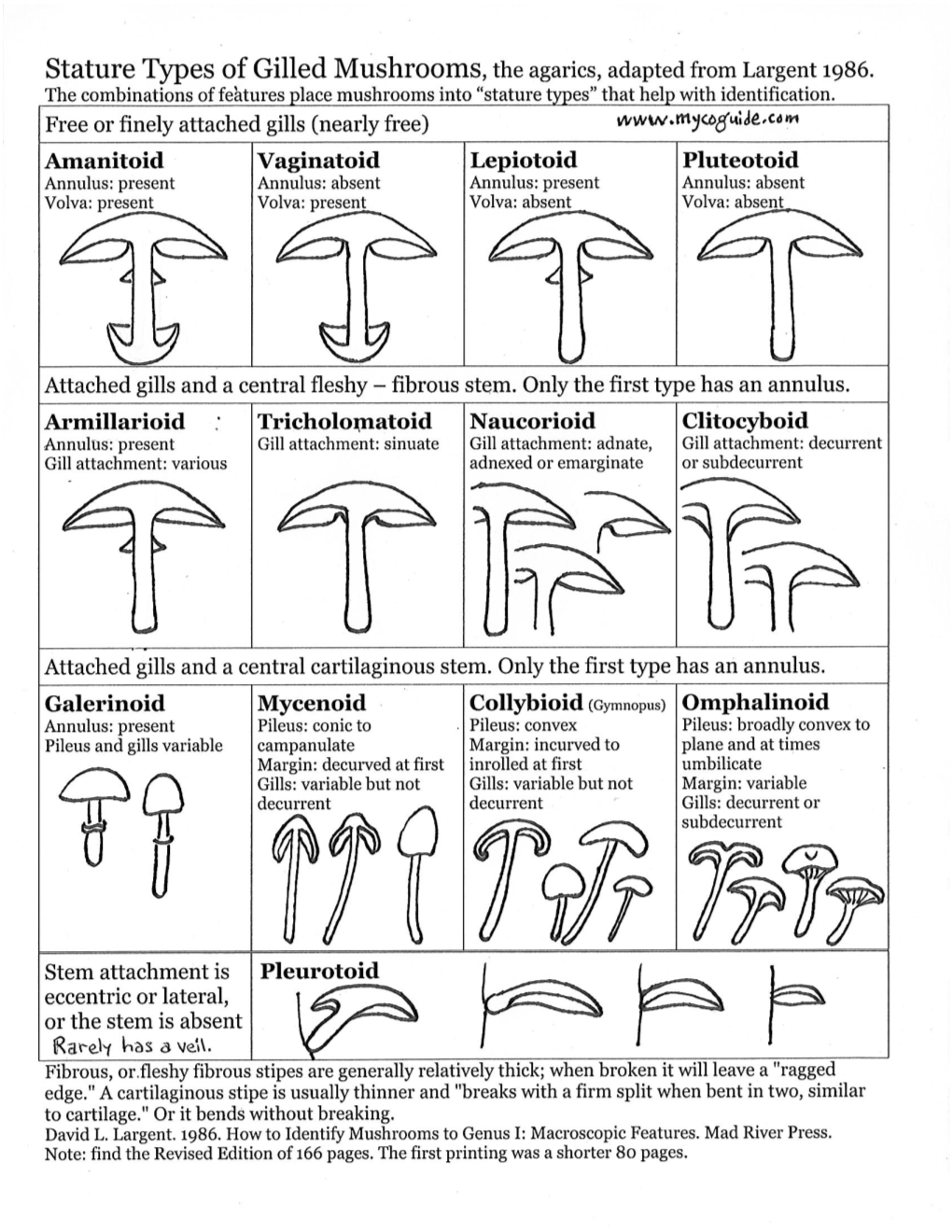 Agarics-Stature-Types.Pdf