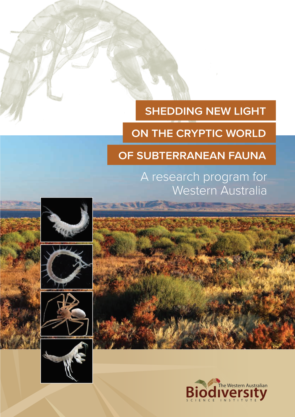 Subterranean Fauna: a Research Program for Western Australia