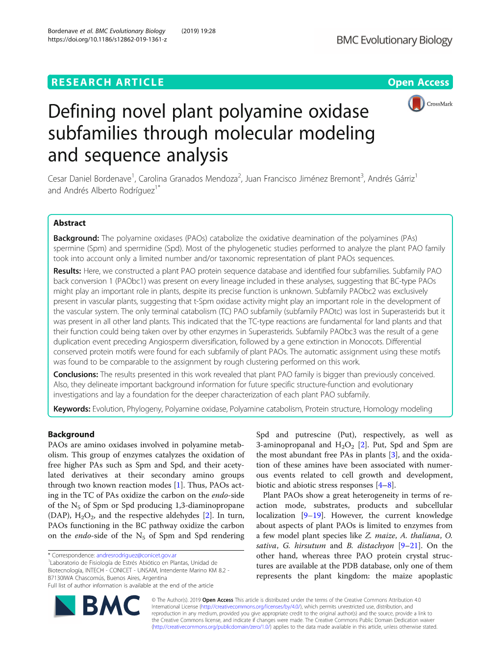 Defining Novel Plant Polyamine Oxidase Subfamilies Through