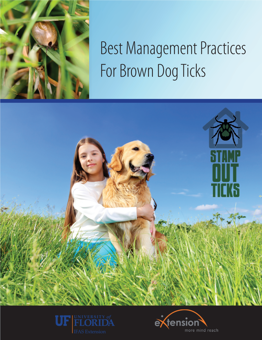 Best Management Practices for Brown Dog Ticks