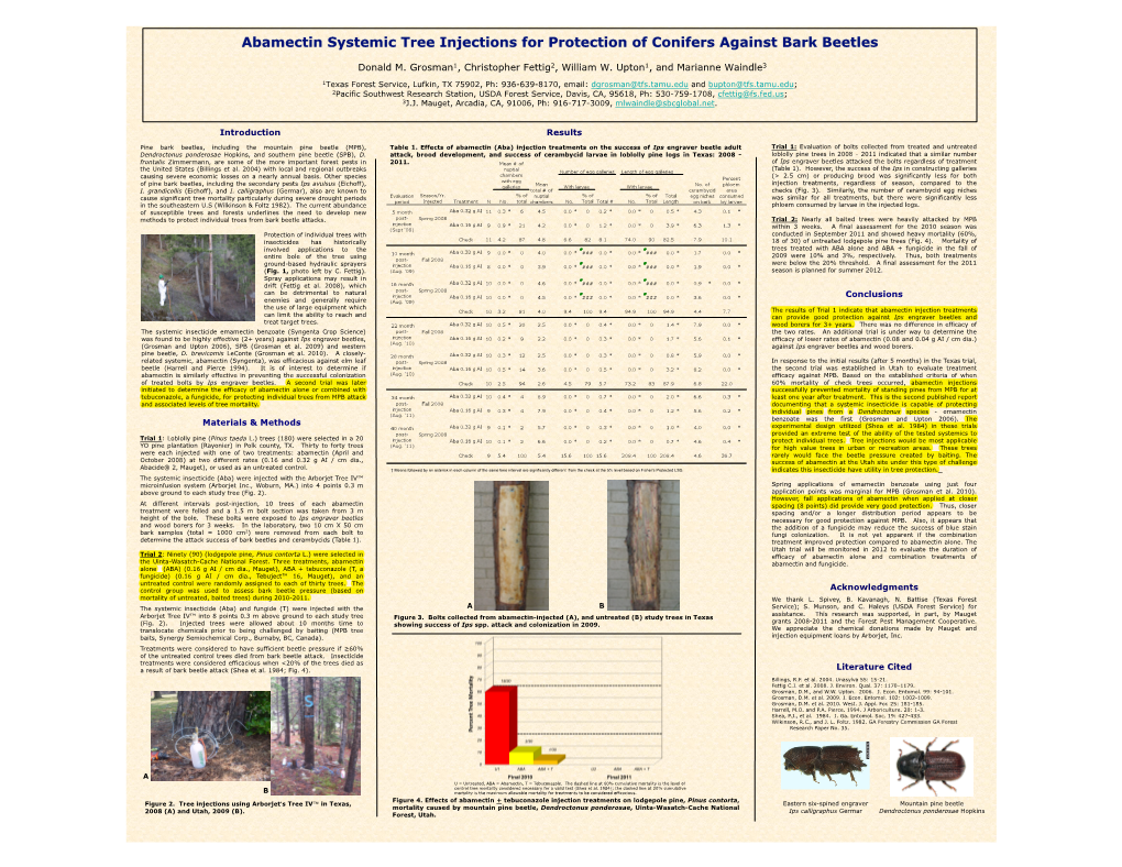 Tfsbbstudy.Pdf