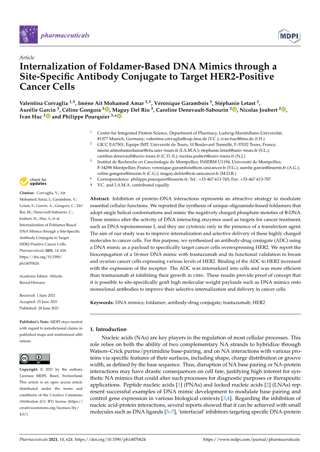 Internalization of Foldamer-Based DNA Mimics Through a Site-Specific Antibody Conjugate to Target HER2-Positive Cancer Cells