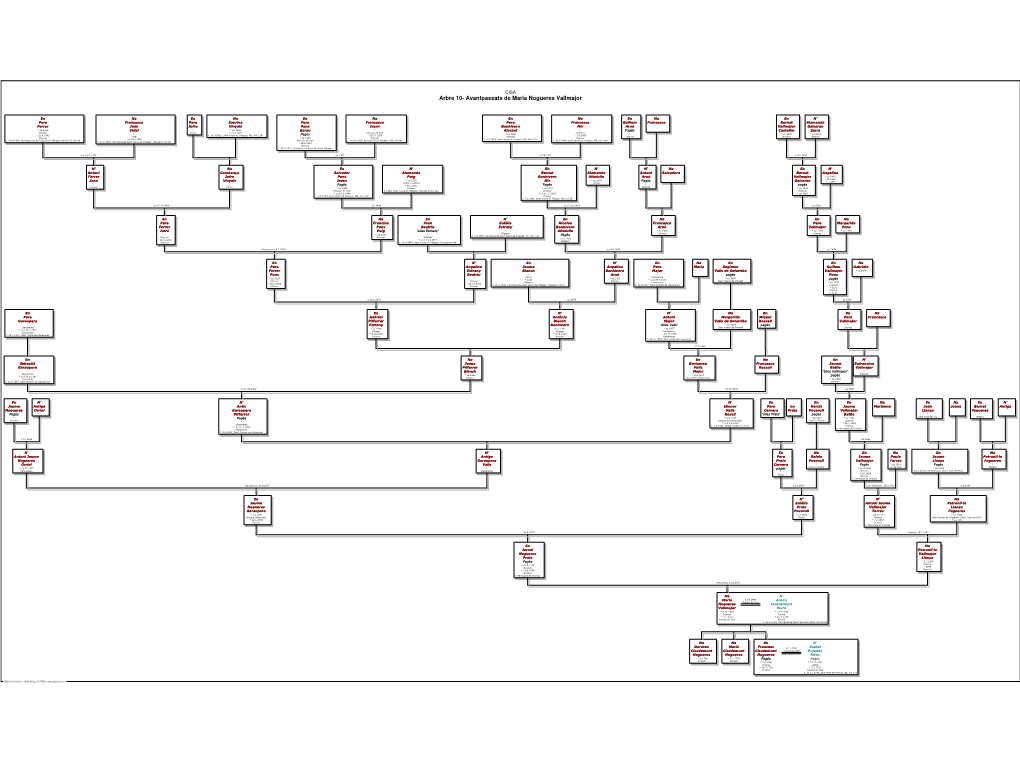 Cisa- Arbre 10