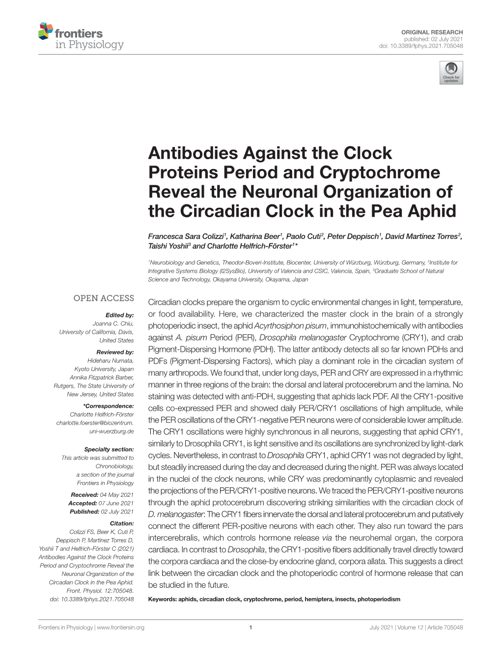 Antibodies Against the Clock Proteins Period and Cryptochrome Reveal the Neuronal Organization of the Circadian Clock in the Pea Aphid