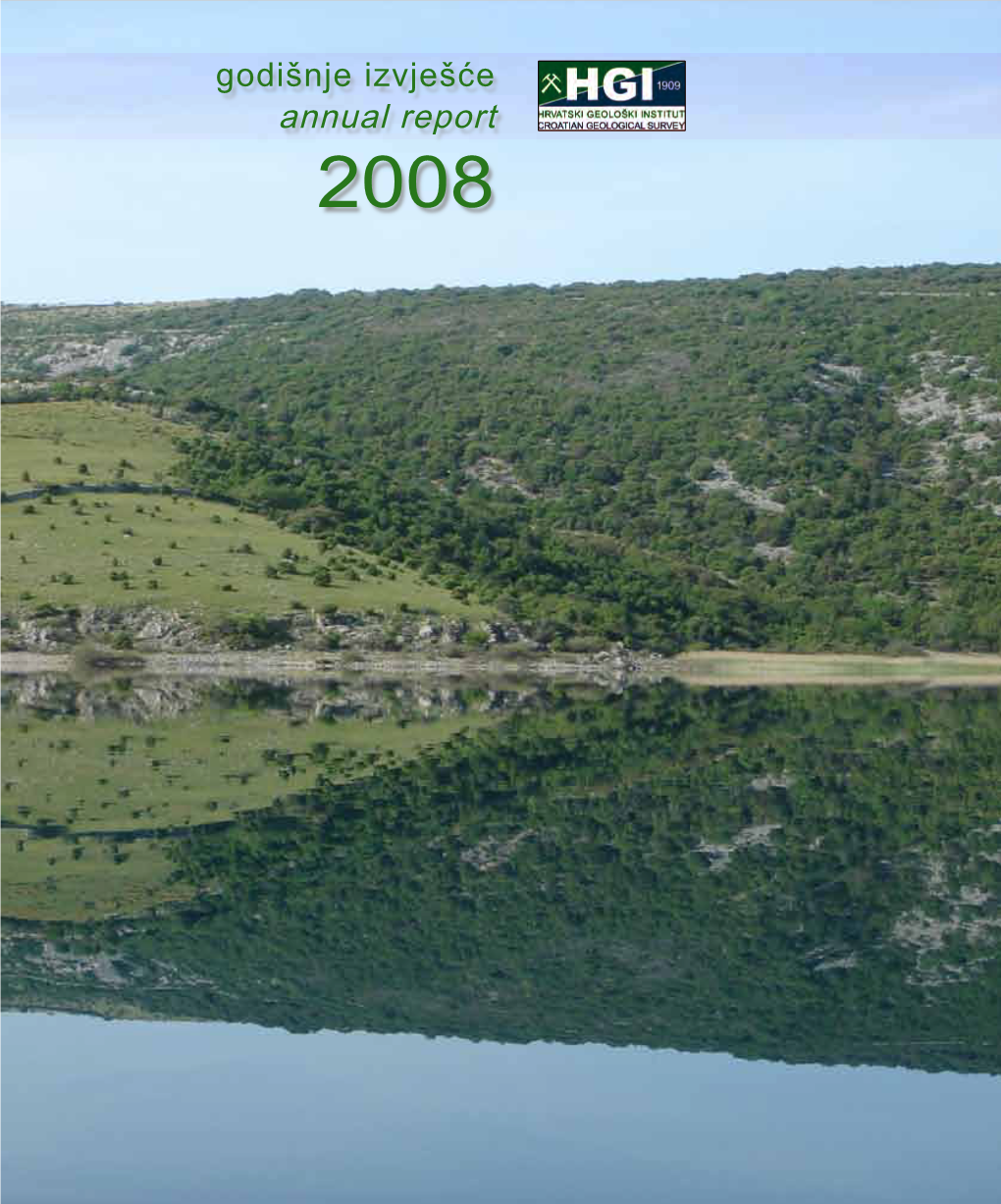 Annual Report 2008