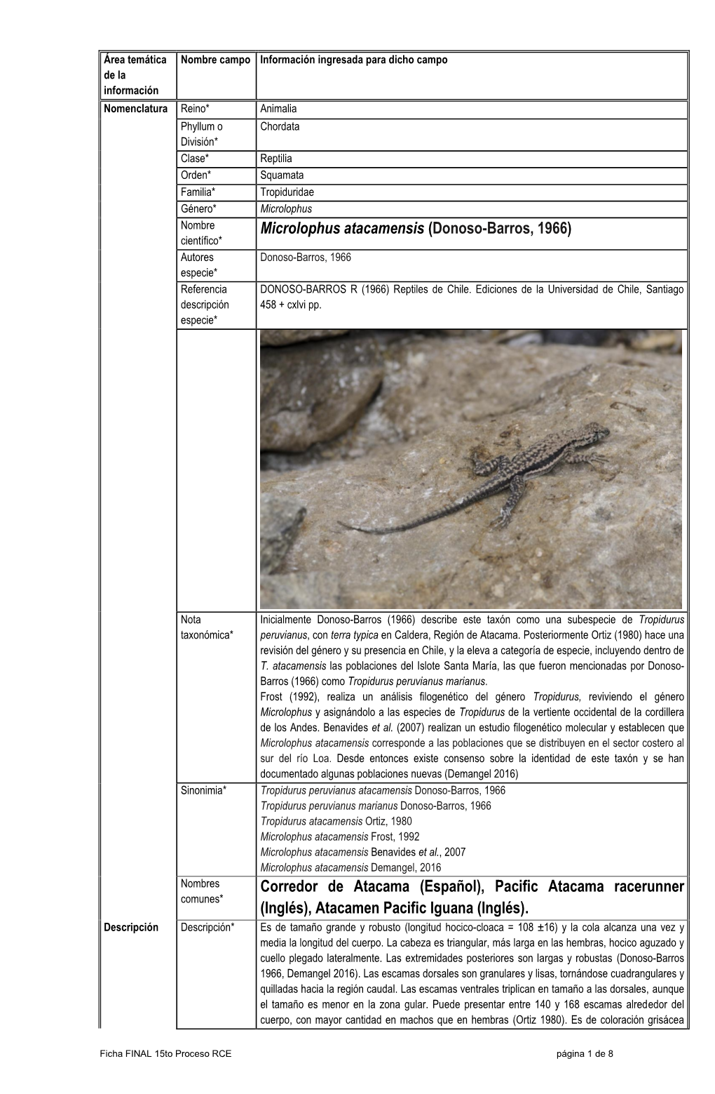 Microlophus Atacamensis (Donoso-Barros, 1966) Científico* Autores Donoso-Barros, 1966 Especie* Referencia DONOSO-BARROS R (1966) Reptiles De Chile